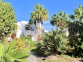097 - Monte Marina / Fuerteventura
